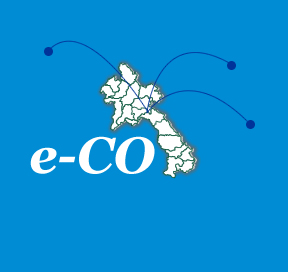  Electronic Certificate of Origin Issuing System